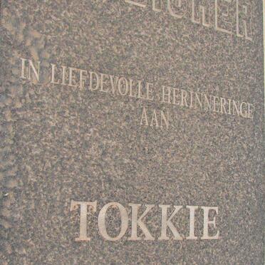 STREICHER Tokkie 1937-1997
