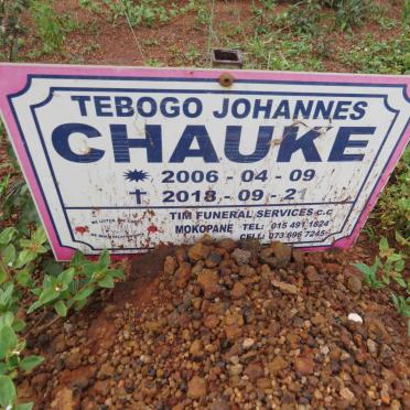 CHAUKE Tebogo Johannes 2006-2018