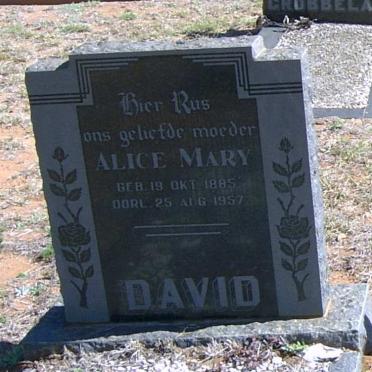 DAVID Alice Mary 1885-1957