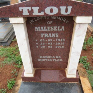 T - Vanne :: Surnames - T