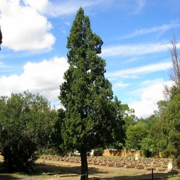 Limpopo, MODIMOLLE / NYLSTROOM, Urban area