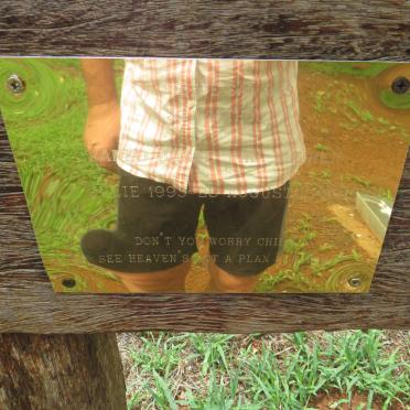 VUUREN Janko, Janse van 1993-2013