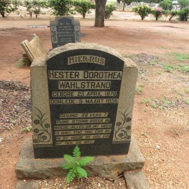 WAHLSTRAND Hester Dorothea 1878-1956