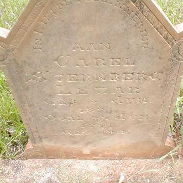 LEZAR Carel Steenberg 1891-1941