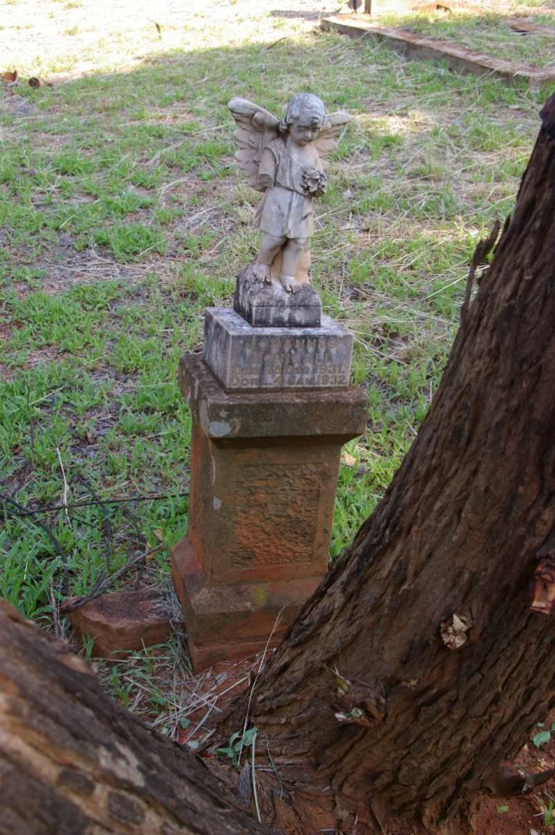 HONIBALL Johannes 1931-1932