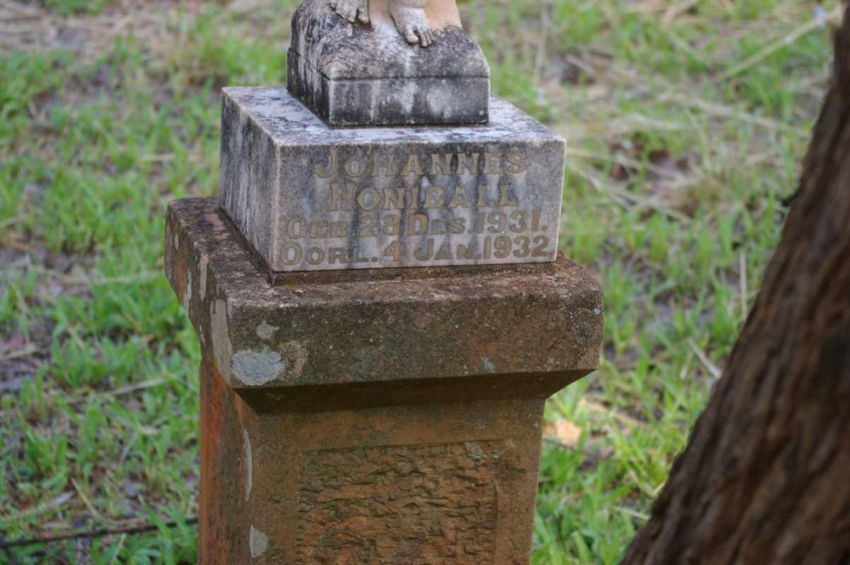 HONIBALL Johannes 1931-1932