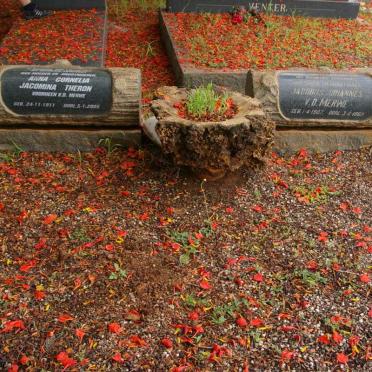 MERWE Jacobus Johannes, v.d. 1907-1969 &amp; Anna Cornelia Jacomina THERON 1911-2005