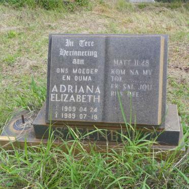 STEENBERG Adriana Elizabeth 1909-1989