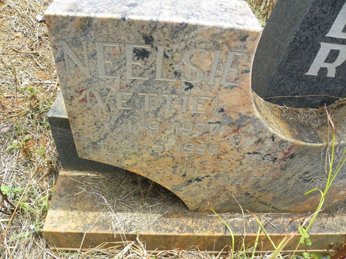 VENTER Neelsie 1977-1990