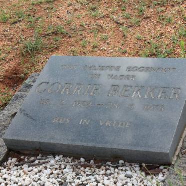 BEKKER Corrie 1923-1978