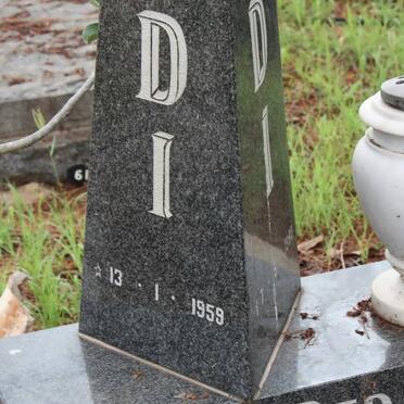 SCHÝFF R.D., van der 1959-1980