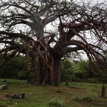 Limpopo, MUSINA / MESSINA, Urban area