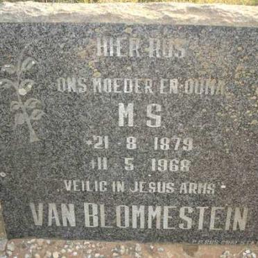 BLOMMESTEIN M.S., van 1879-1968