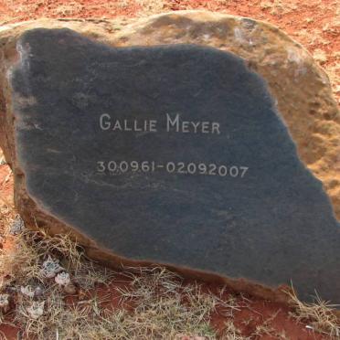 MEYER Gallie 1961-2007