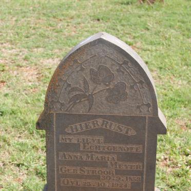 MEYER Anna Maria nee STROOK 1853-1924