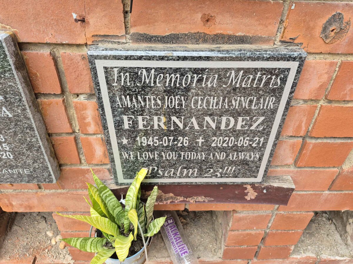 FERNANDEZ Amantes Joey Cecilia Sinclair 1945-2020