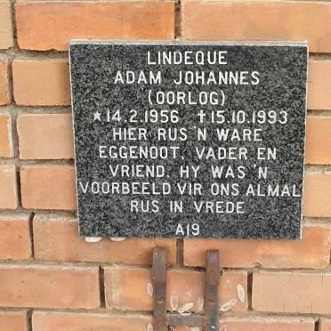 LINDEQUE Adam Johannes 1956-1993
