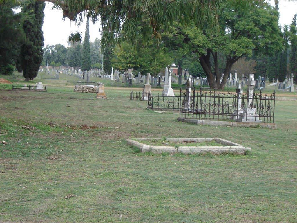 02. Oorsig / Overview