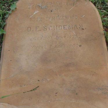 SCHOEMAN D.F. 1873-1902