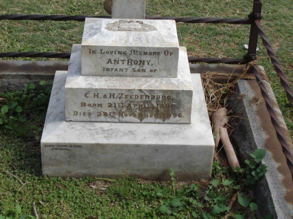 ZEEDERBURG Anthony 1896-1896