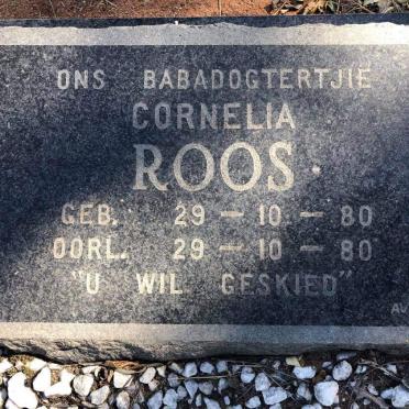 ROOS Cornelia 1980-1980