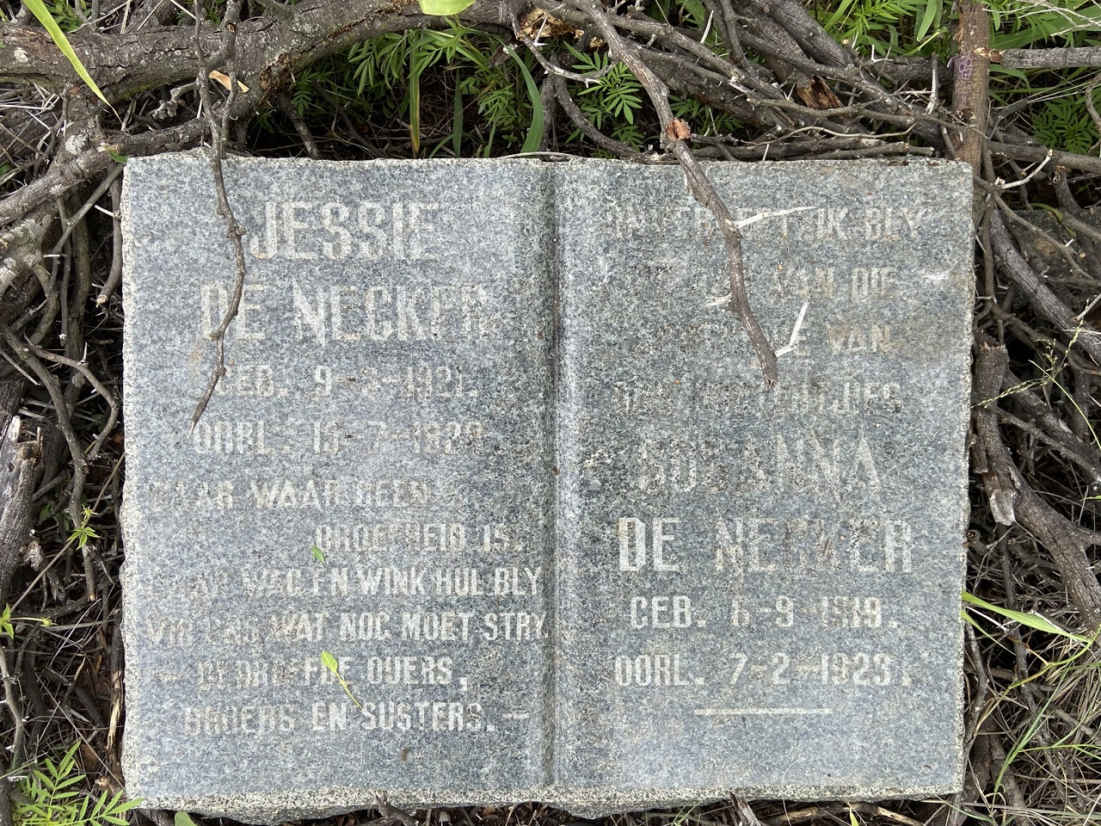 NECKER Jessie, de 192?-192? :: DE NECKER Johanna 1919-1923