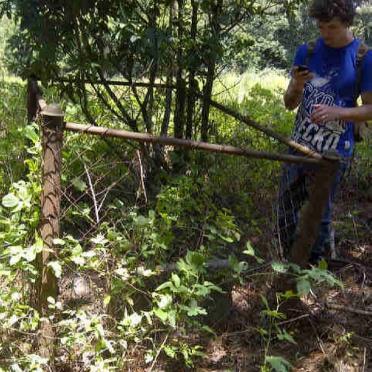 Limpopo, POLOKWANE district, Joubertskroon, L S, single grave