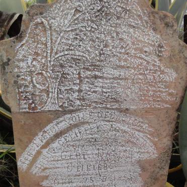 CELLIERS Gert Daniel 1853-1935