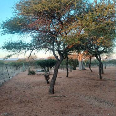 Limpopo, SOUTPANSBERG district, Brenhilda 546, farm cemetery