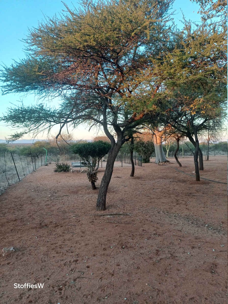 1. Overview / Oorsig