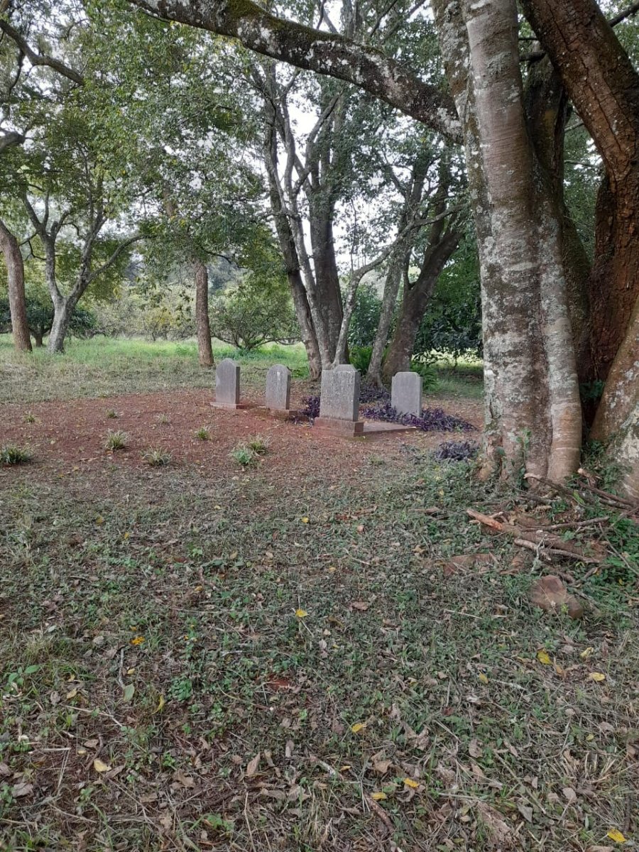 1. Overview / Oorsig