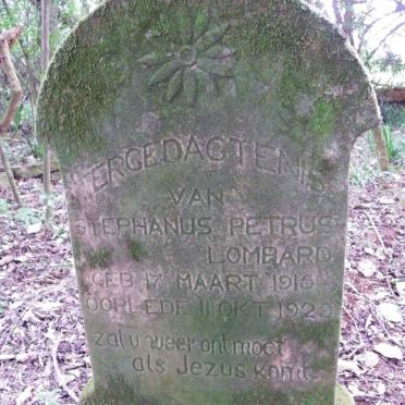 Limpopo, SOUTPANSBERG district, Makhado, Schyffontein 798, farm cemetery