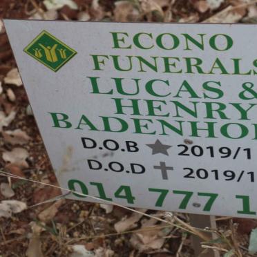 BADENHORST Lucas 2019-2019 :: BADENHORST Henry 2019-2019