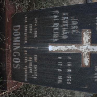 DOMINGOS Jose Estevao Caldeira 1964-1981