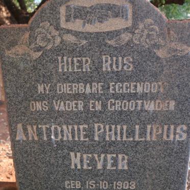 MEYER Antonie Phillipus 1903-1962