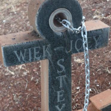 STEYN Wiek 1930-1985 &amp; Joey 1936-2019