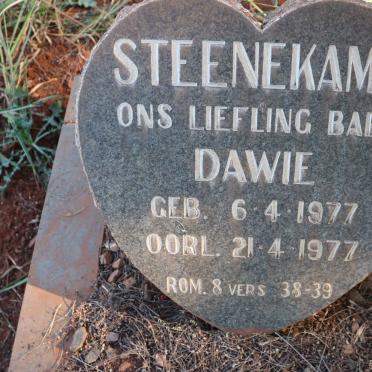 STEENEKAMP Dawie 1977-1977