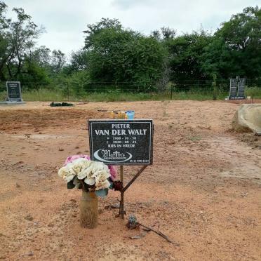 WALT Pieter, van der 1960-2020