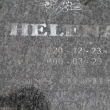 T - Vanne :: Surnames - T