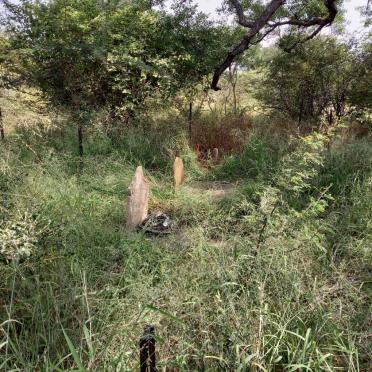 Limpopo, WATERBERG district, Dwars-in-de-weg 289, farm cemetery