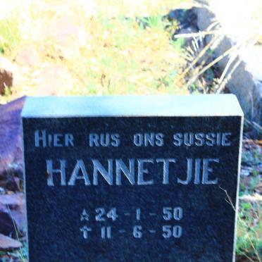 DEVENTER Hannetjie, van 1950-1950