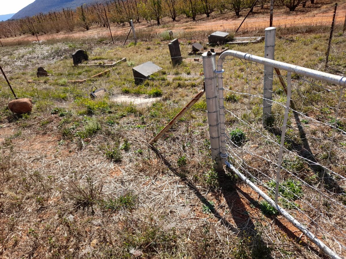 1. Overview / Oorsig