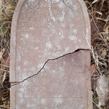 Limpopo, WATERBERG district, Doornkom 376, farm cemetery_5