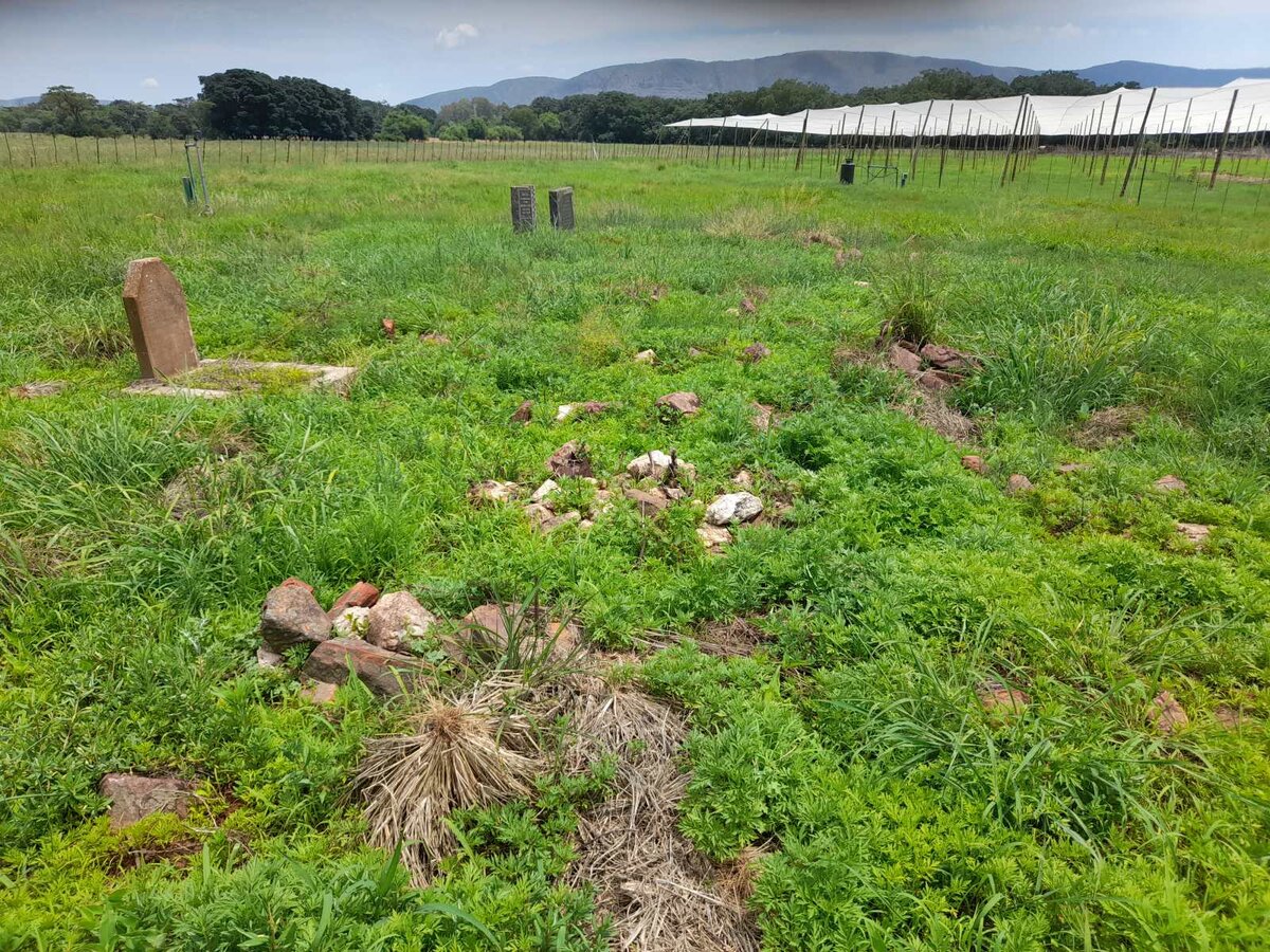 1. Overview / Oorsig