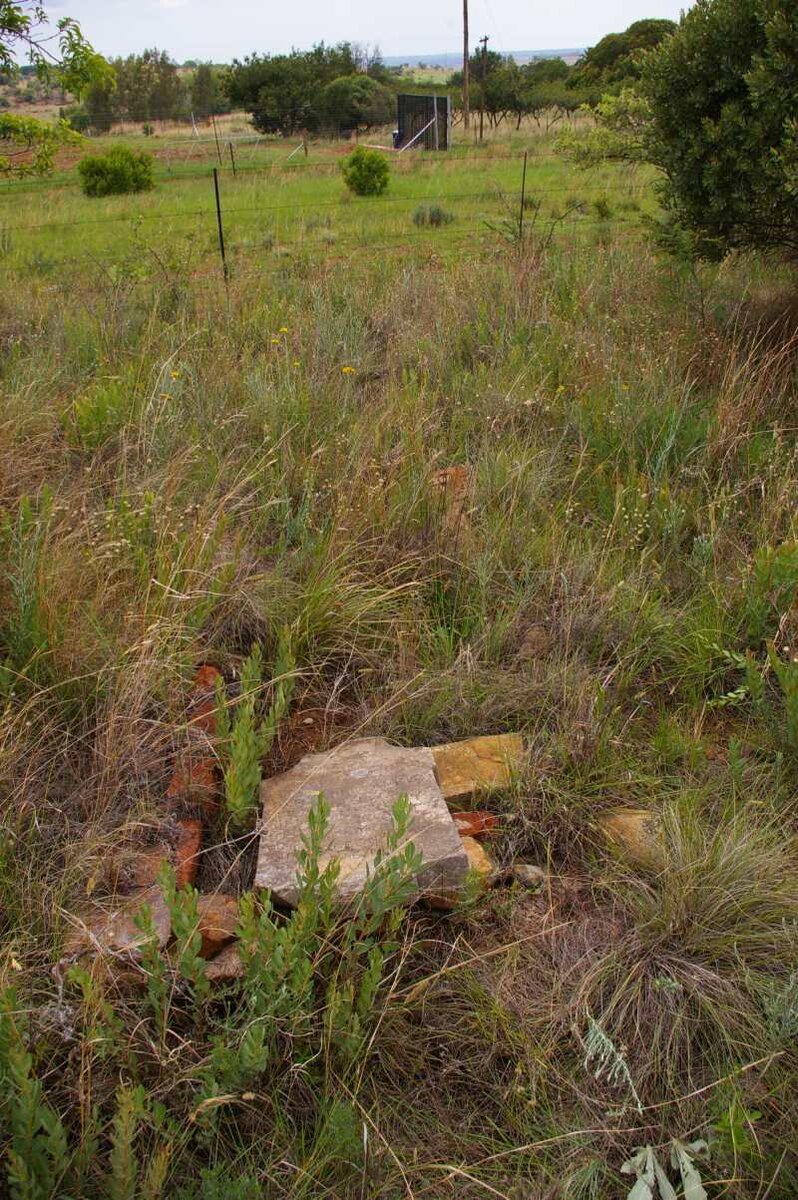 4. Overview / Oorsig