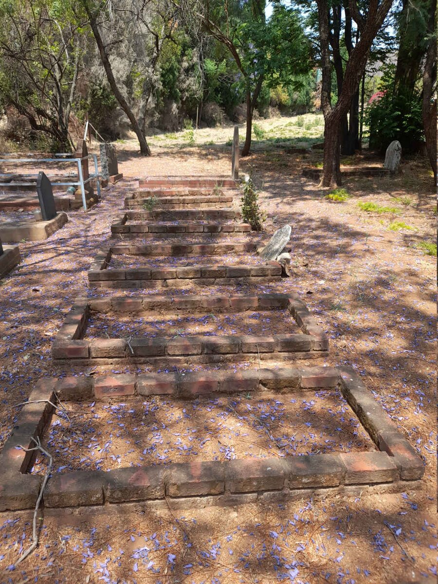 5.  Overview / Oorsig