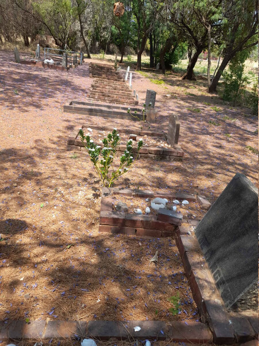 4. Overview / Oorsig