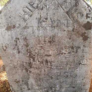 PIETERSE Hendrik J.W. 1898-1967 &amp; Louisa Maria Johanna DU TOIT 1906-1957 