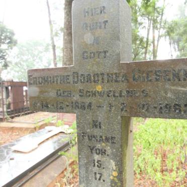GIESEKKE Erdmuthe Dorothea nee SCHWELLNUS 1884-1963