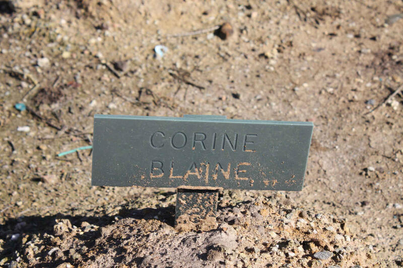 BLAINE Corine